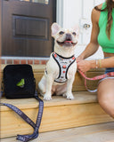 The Modern Dog Company - Bad to the Bone Harness Aaria Tees