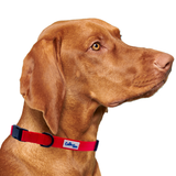 Red Dog Collar Aaria Tees
