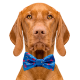 Red, White and Bones American Flag USA Dog Bow Tie Aaria Tees