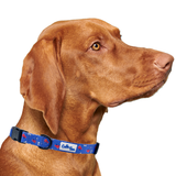 Red, White and Bones American Flag USA Dog Collar Aaria Tees