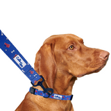 Red, White and Bones American Flag USA Dog Leash Aaria Tees