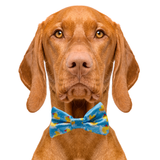 Rubber Duckies Dog Bow Tie Aaria Tees