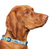 Rubber Duckies Dog Collar Aaria Tees