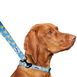 Rubber Duckies Dog Leash Aaria Tees