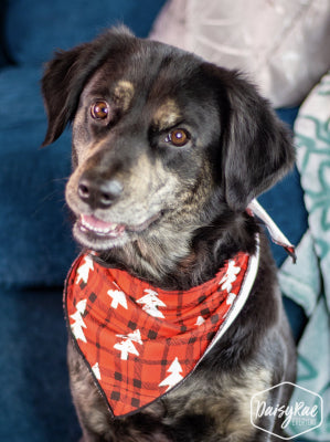 Gifts in the Morning Pet Bandana - Aaria Tees