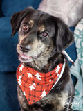 Gifts in the Morning Pet Bandana - Aaria Tees Aaria Tees