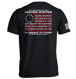 We the People of the United States of America In Order to Form a More Perfect Union Aaria Tees