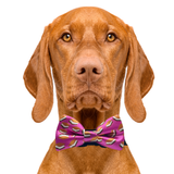 S'mores Purple Dog Bow Tie Aaria Tees