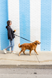 The Modern Dog Company - Black Extension Leash Aaria Tees