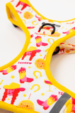 The Modern Dog Company - Yeehaw Harness - Aaria Tees Aaria Tees