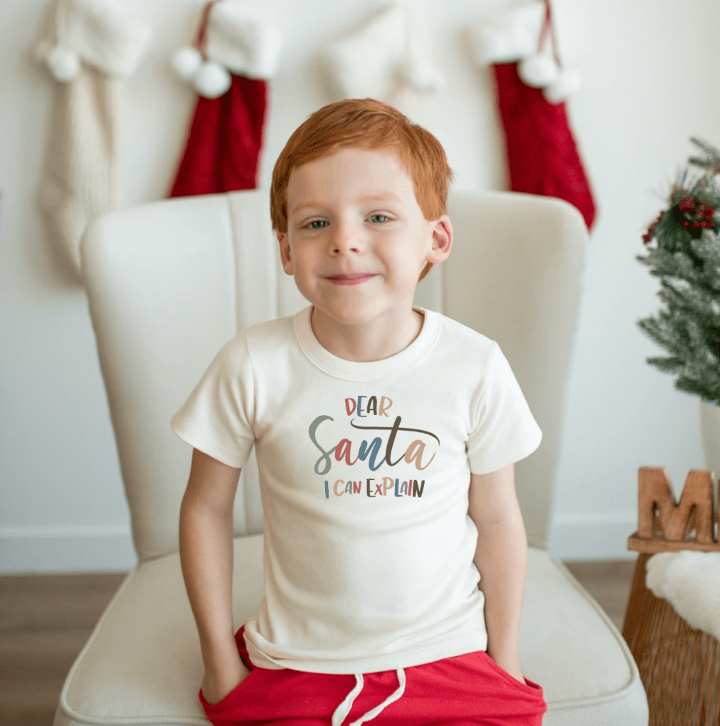 graphic tee | I can explain - Aaria Tees Aaria Tees