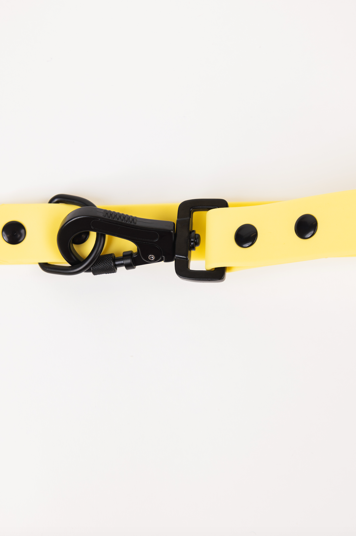 The Modern Dog Company - Daffodil Yellow Adjustable Leash - Aaria Tees Aaria Tees