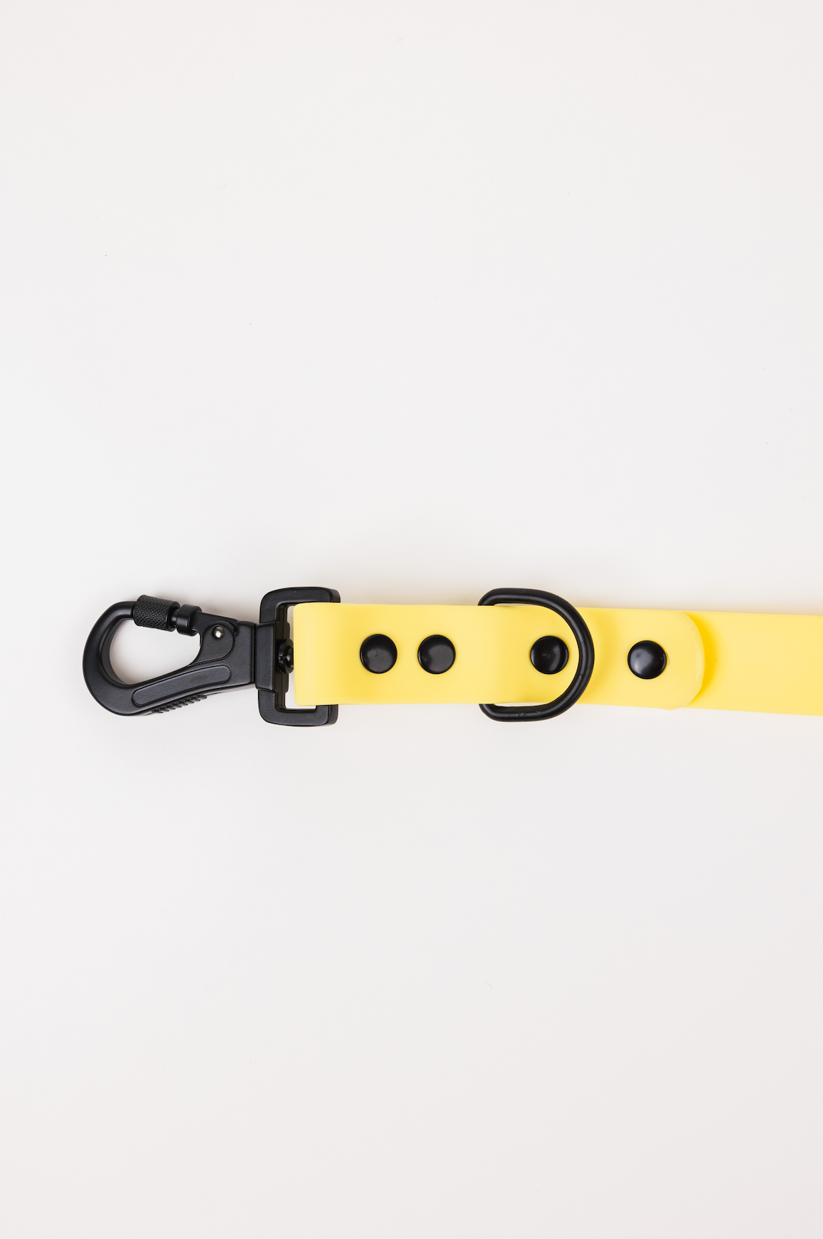 The Modern Dog Company - Daffodil Yellow Adjustable Leash - Aaria Tees Aaria Tees