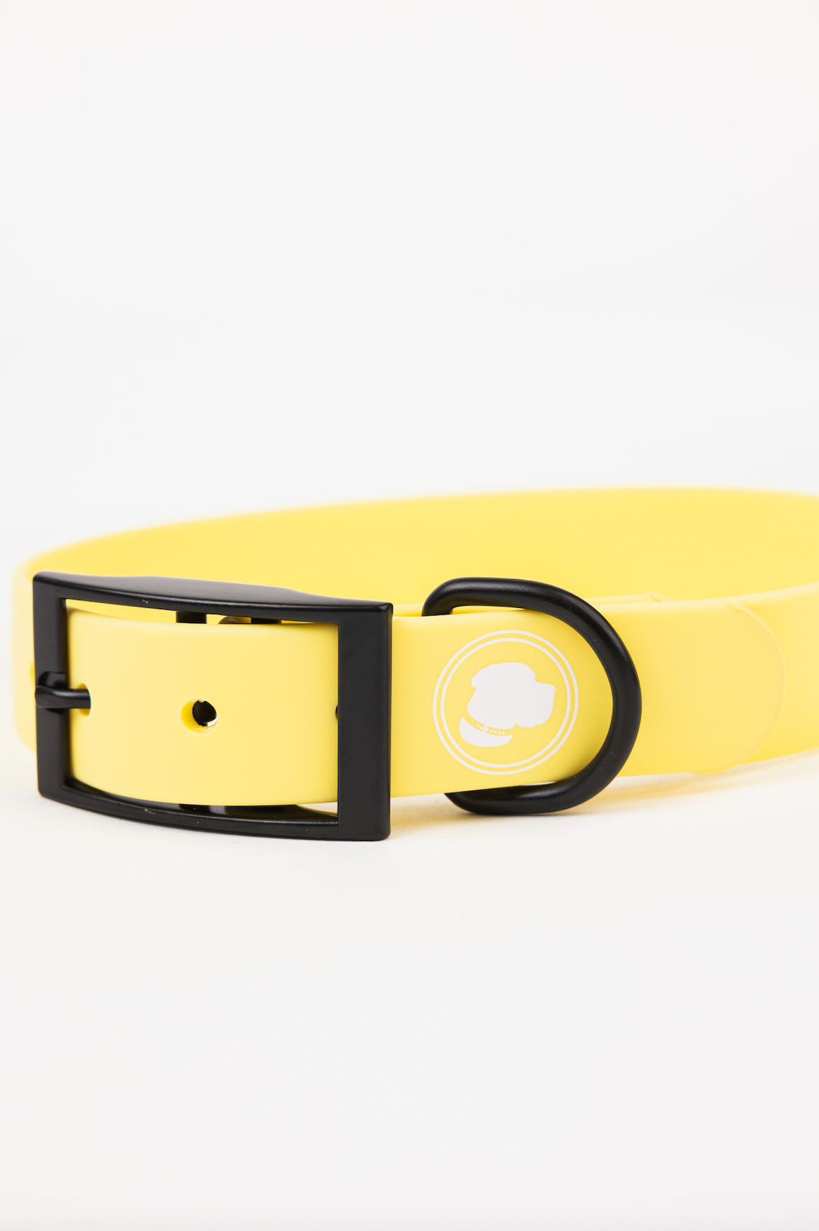 The Modern Dog Company - Daffodil Yellow Collar (Weather + Odor Resistant) - Aaria Tees Aaria Tees