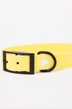 The Modern Dog Company - Daffodil Yellow Collar (Weather + Odor Resistant) - Aaria Tees Aaria Tees