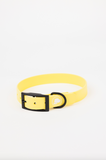The Modern Dog Company - Daffodil Yellow Collar (Weather + Odor Resistant) - Aaria Tees Aaria Tees