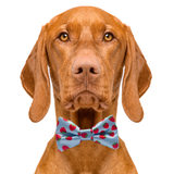 Stawberry Blue Dog Bow Tie Aaria Tees