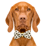 Sunflower Dog Bow Tie Aaria Tees