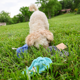 Slipper Rope Toys Aaria Tees