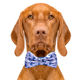 Swallow & Feather Dog Bow Tie Purple Aaria Tees