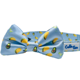 Taco Tuesday Dog Collar Aaria Tees