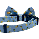 Taco Tuesday Dog Bow Tie Aaria Tees