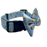 Taco Tuesday Dog Bow Tie Aaria Tees