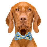 Taco Tuesday Dog Bow Tie Aaria Tees