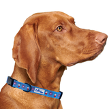 The Fourth USA America Dog Collar Aaria Tees