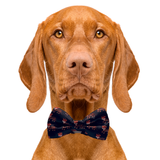Tiger Dog Bow Tie Aaria Tees