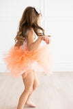 Tonal Rainbow Tank Tutu Leotard - Aaria Tees Aaria Tees