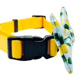 Tropic Like It's Hot Pineapple Dog Bow Tie Aaria Tees