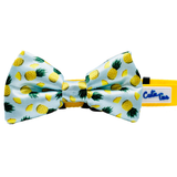 Tropic Like It's Hot Pineapple Dog Bow Tie Aaria Tees