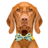 Tropic Like It's Hot Pineapple Dog Bow Tie Aaria Tees