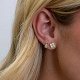 Gracie CZ Clover Studs Aaria Tees