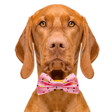 Wine & Cheese Pink Dog Bow Tie Aaria Tees