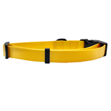 Yellow Dog Collar Aaria Tees