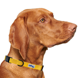 Yellow Dog Collar Aaria Tees