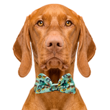 Zoo Furiends Dog Bow Tie Aaria Tees