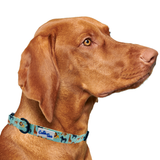 Zoo Furiends Dog Collar Aaria Tees