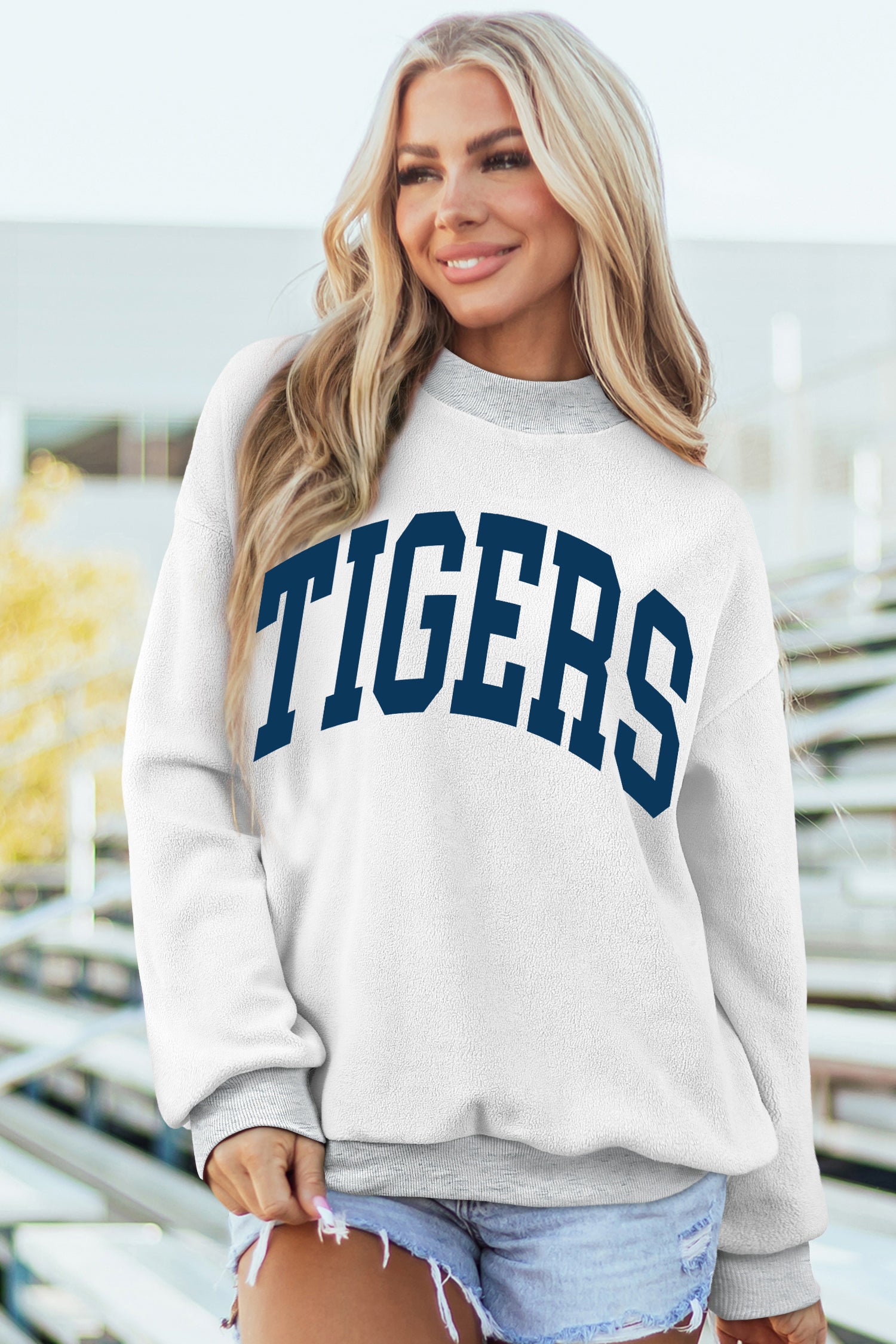 Light Grey WARDAMN/ TIGERS Double Side Printed High Neck Reversible Baggy Sweatshirt - Aaria Tees Aaria Tees