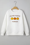 White FARM FRESH PUMPKINS Embroidered Graphic Thanksgiving Holiday Sweatshirt Aaria Tees