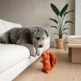 Oliver the Squirrel Rope Toy Aaria Tees