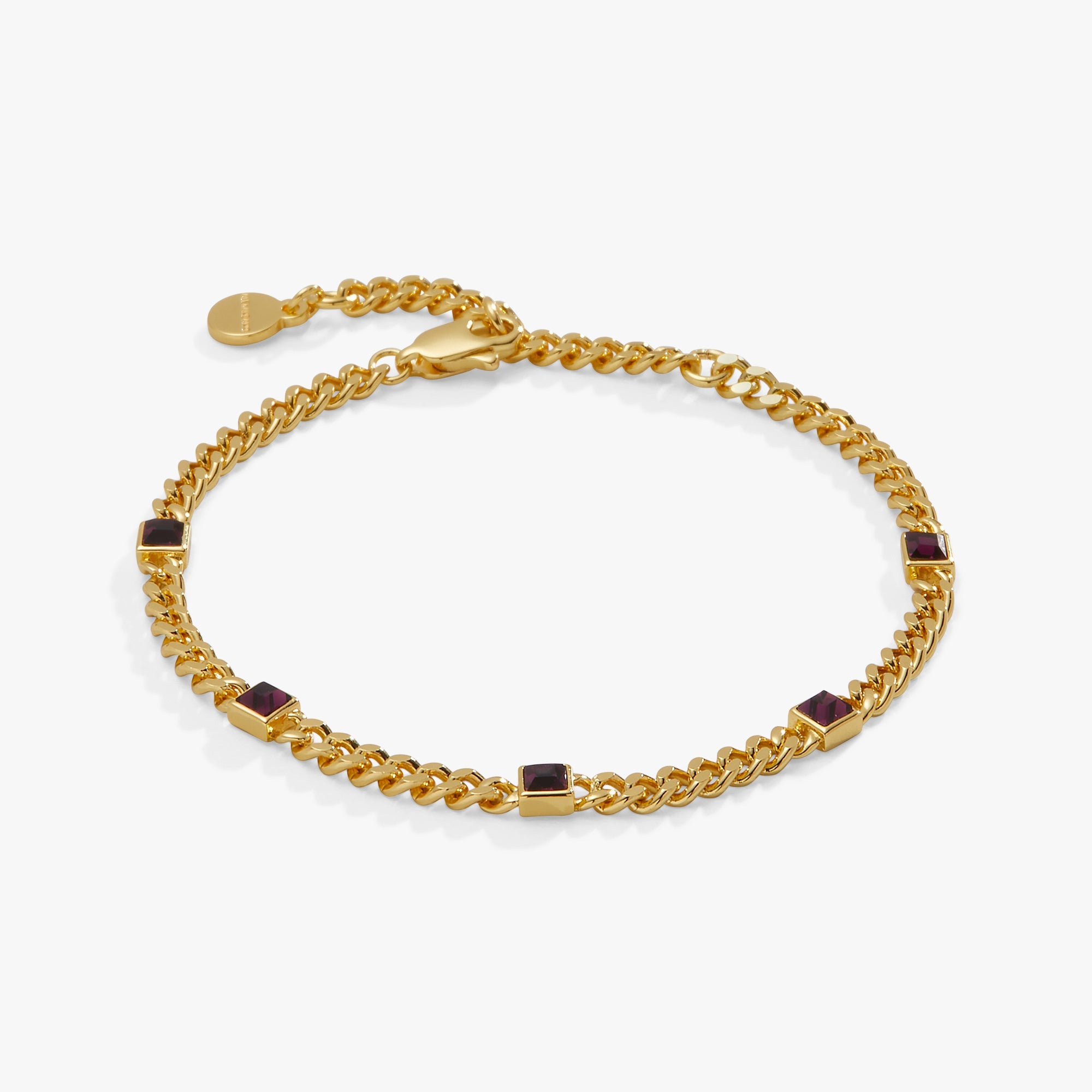February Birthstone Amethyst Curb Chain Bracelet - Aaria Tees Aaria Tees