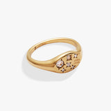 Aquarius Zodiac Ring - Aaria Tees Aaria Tees
