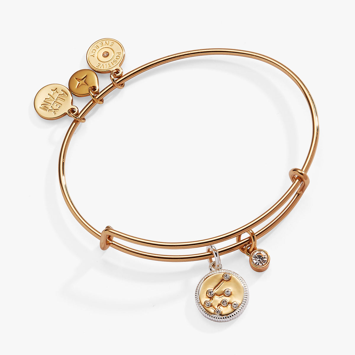 Aquarius Zodiac Charm Bangle - Aaria Tees
