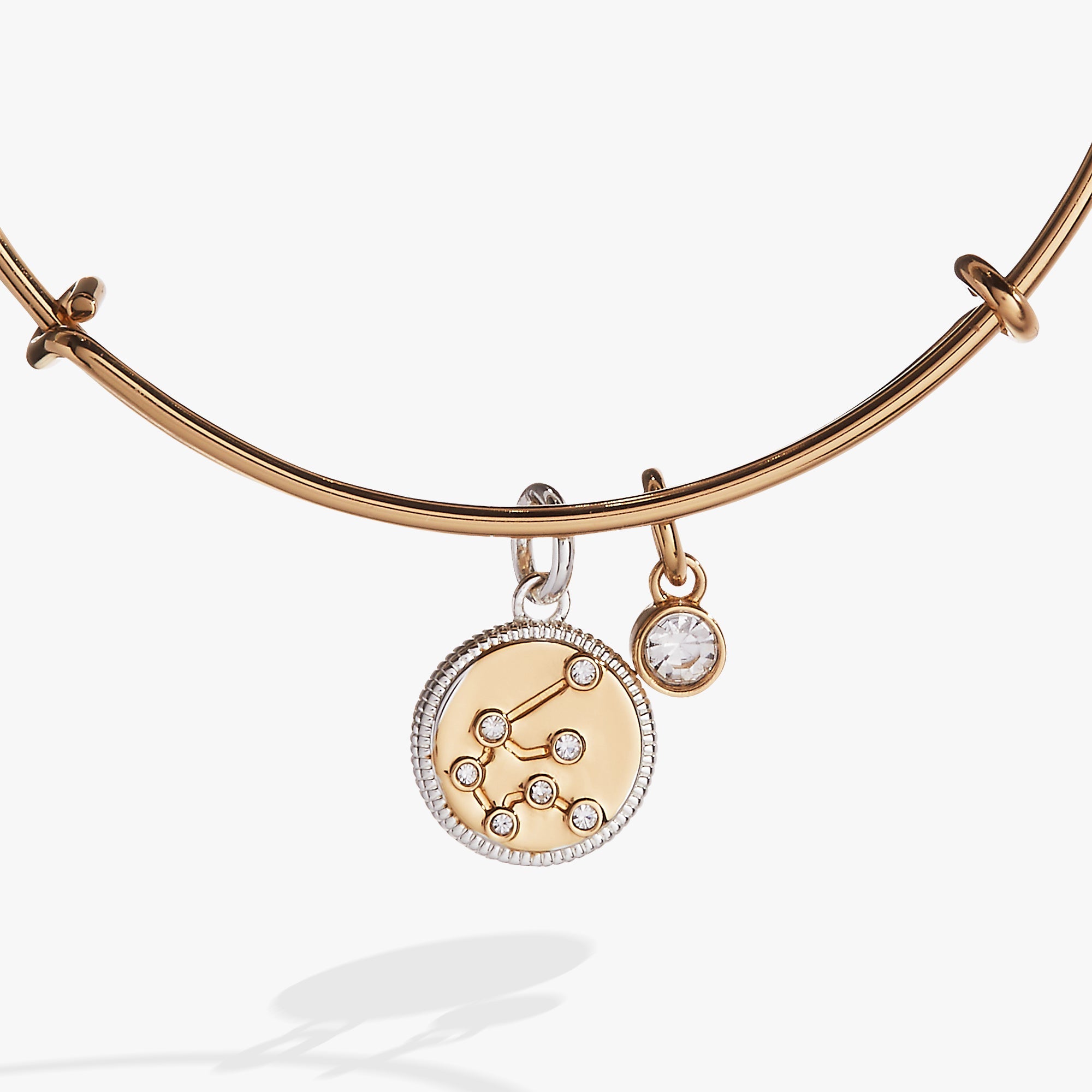 Aquarius Zodiac Charm Bangle - Aaria Tees Aaria Tees