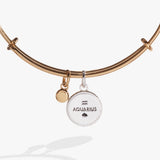 Aquarius Zodiac Charm Bangle - Aaria Tees Aaria Tees