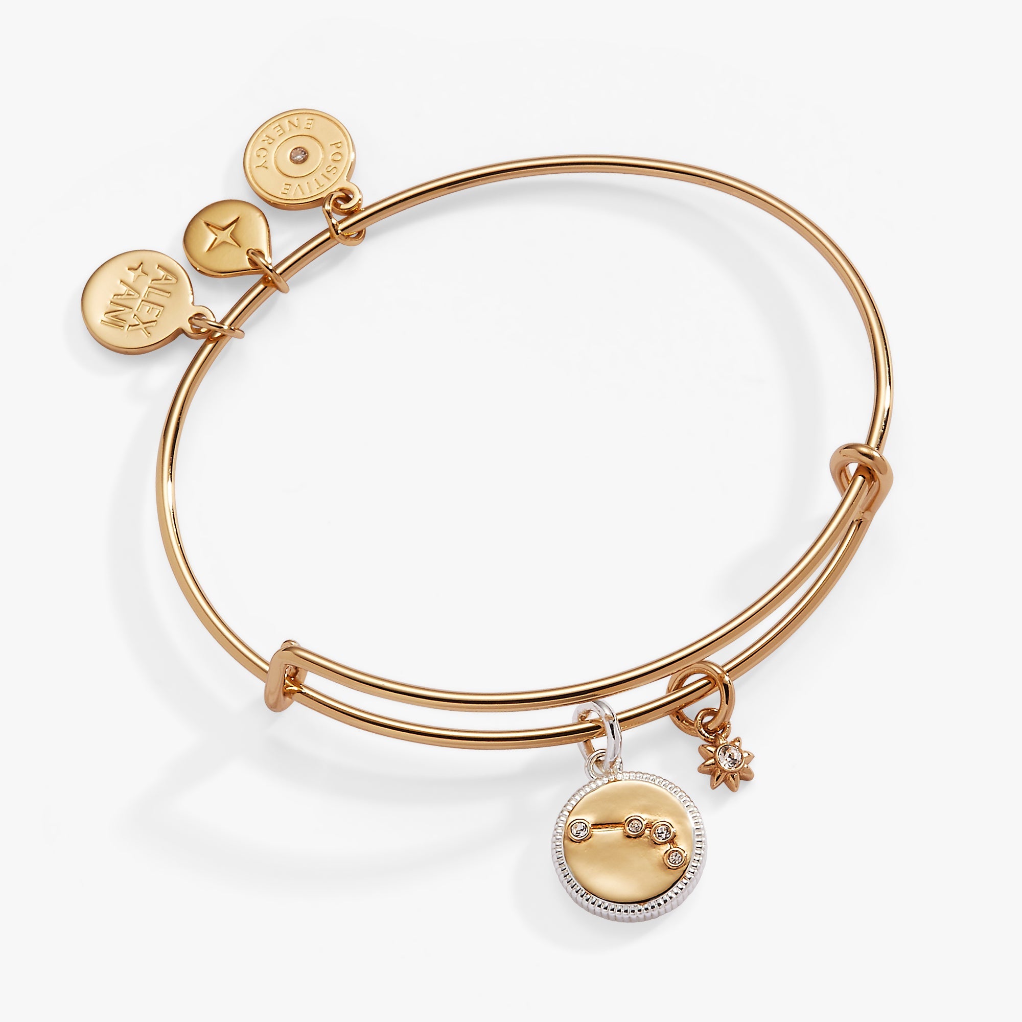 Aries Zodiac Charm Bangle - Aaria Tees Aaria Tees