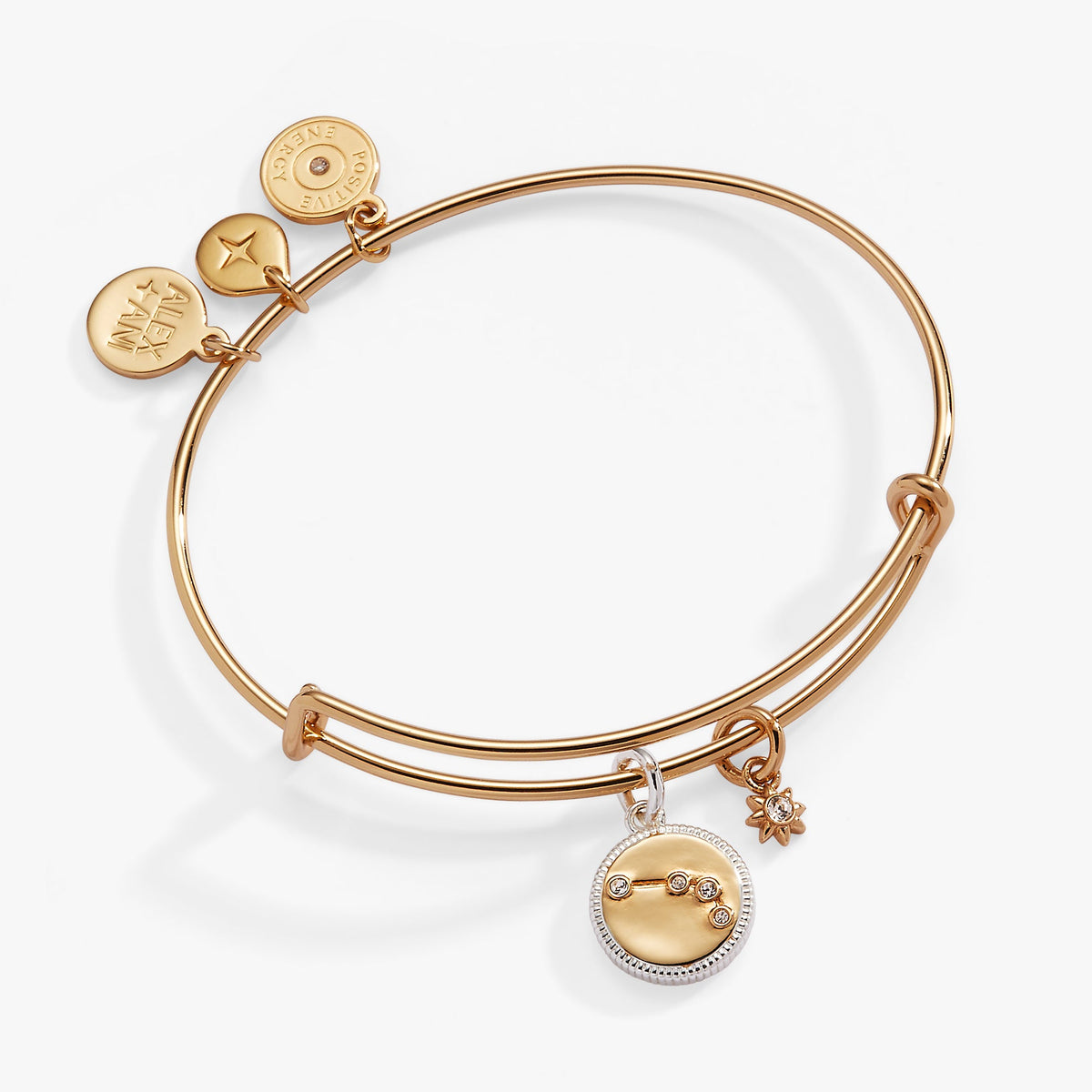 Aries Zodiac Charm Bangle - Aaria Tees